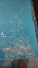 le meilleur espace détente sur Loos .