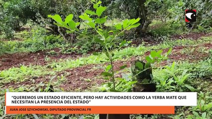 “Queremos un Estado eficiente, pero hay actividades como la yerba mate que necesitan la presencia del Estado”