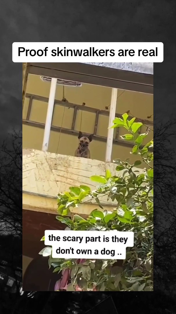 ⁣Supernatural Sightings That Defy Explanation!