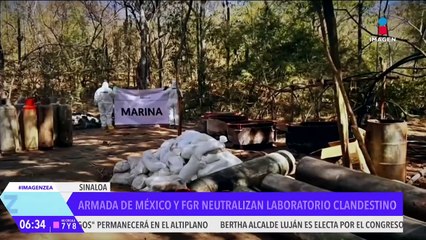 Localizan y desmantelan un laboratorio clandestino en Sinaloa