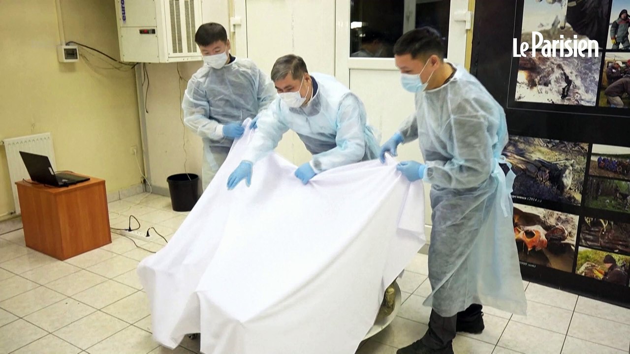 La Russie expose un petit mammouth quasi intact vieux de 50.000 ans