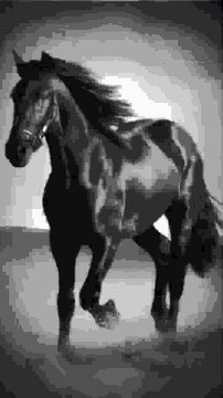 copy_2CF1F474-D4E9-4700-A43C-B36CDB034D1F