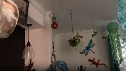 Nevada woman shares instant aftermath of a 5.7 magnitude earthquake