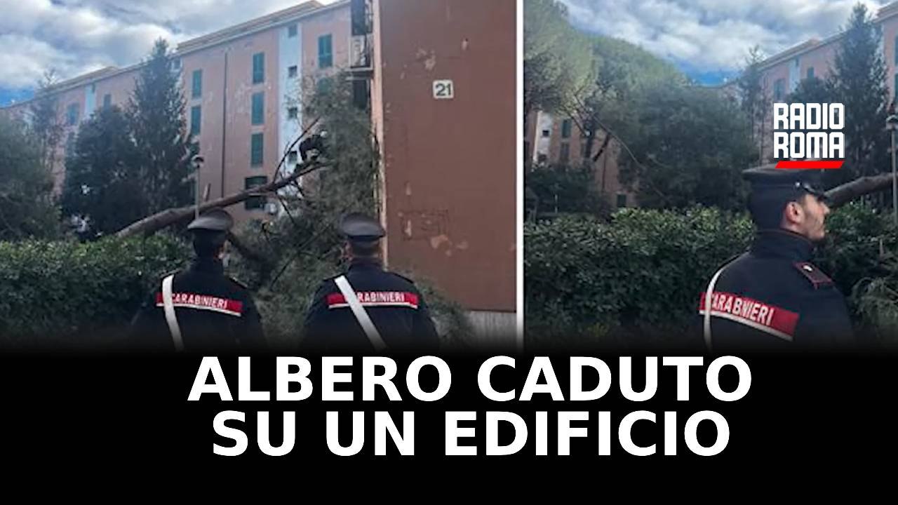 Cade albero su palazzo a Roma, rotta tubatura gas