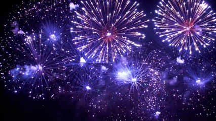 How to help your pets during the New Year Eve fireworks