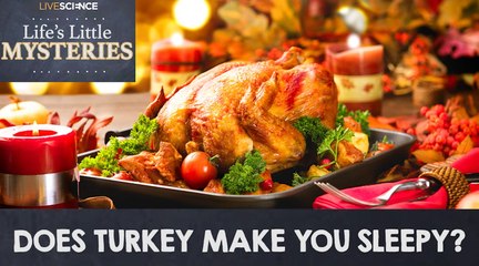 Is There A Myth That Eating Turkey Makes You Sleepy?