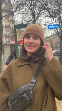 Combien vous dépensez par mois pour votre chien ?