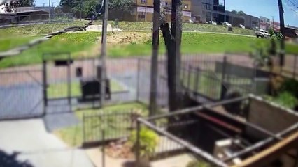 Vídeo mostra motorista perdendo o controle sozinha e capotando na BR-277