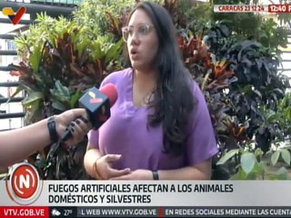 Maigualida Vargas: Debemos reducir al máximo el uso de los fuegos artificiales