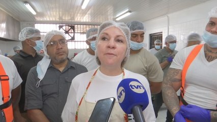 Ministra de Gobierno se refiere a permisos especiales para Ferrufino y Tamburelli
