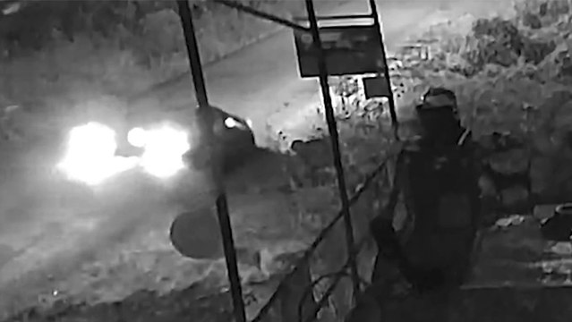 tn7-denuncian-incidente-en-perez-zeledon-241224