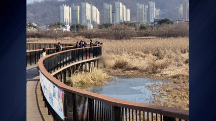 [전북] "지팡이 주우려다"...전주 저수지에 빠진 70대 구조 / YTN