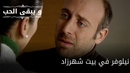 نيلوفر في بيت شهرزاد| مسلسل و يبقى الحب - الحلقة 60
