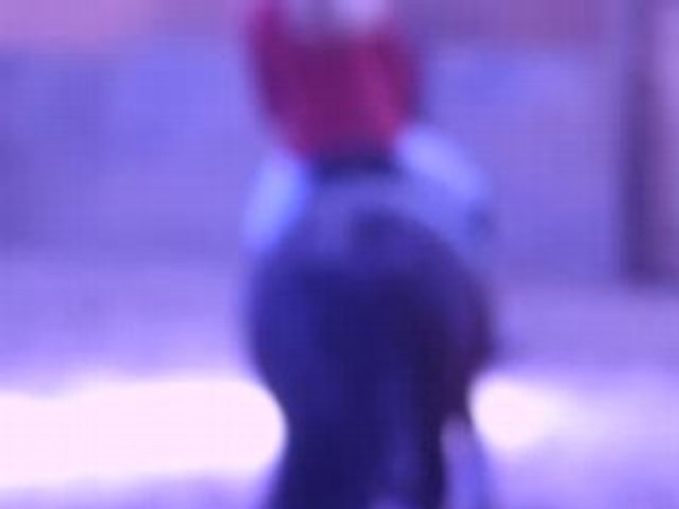 Moa et Lucky sur un parcour le 26/04/08