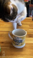 She has to have her coffee every morning now!