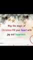 Christmas wishes 118. #christmas #christmas2024 #christmaswishes #happy #love