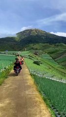 Pemandangan Alam Desa