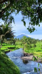 Pemandangan Alam Desa