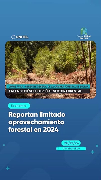 Reportan limitado aprovechamiento forestal en 2024
