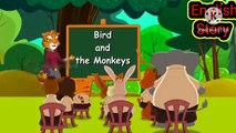 Birds and the Monkeys