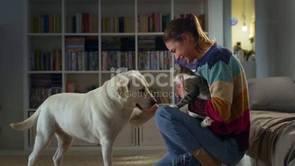 My Beautiful Black Cat || कजरी बिल्ली