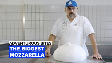 Adventurous bites: The biggest Mozzarella