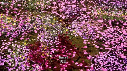 100.000 Years of Refining Qi Ep. 191-195 Sub Indo