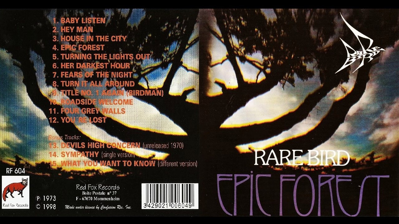 RARE BIRD...01 - Baby Listen
