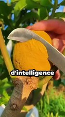 Event Scheduled for December 25, 2024 🎉