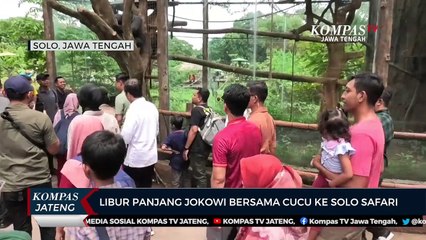 Libur Panjang, Jokowi Bersama Cucu ke Solo Safari