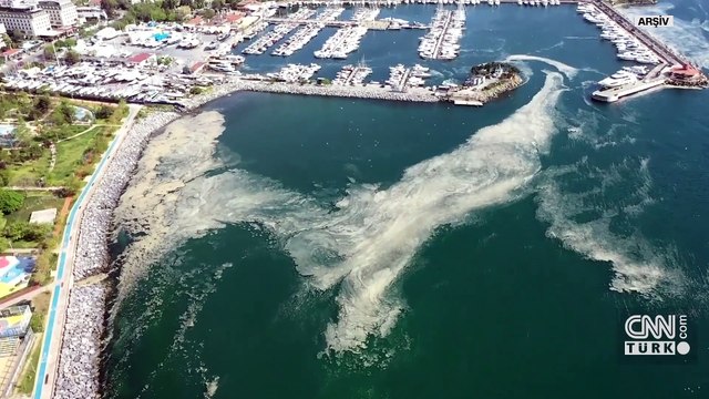 Marmara Denizi alarm veriyor: ''Deniz salyası'' tekrar yüzeye çıkabilir!