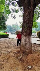 Amazing so funny video