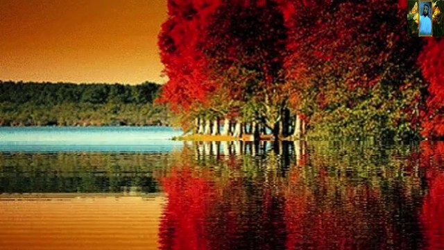 تلاوات القران الكريم بصوت جميل جدا قناة علي الفرهود القران الكريم