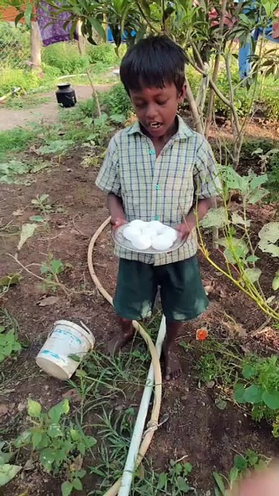 கொஞ்சம் சர்க்கஸ் பண்ணுங்கப்பா பய கேட்குறான்ல 🤣