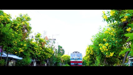 Enjoy the world's most incredible train journey