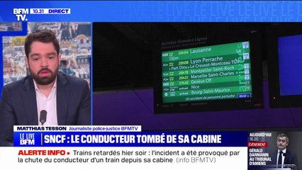 Trains retardés: l'incident a été provoqué par la chute du conducteur d'un train depuis sa cabine