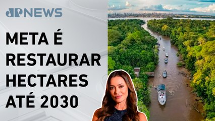 Programa Restaura Amazônia é lançado pelo governo; Patrícia Costa analisa