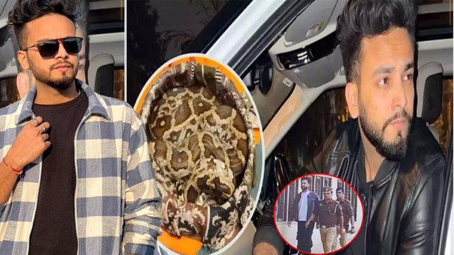 Elvish Yadav फिर कानूनी मुश्किल में उलझे! Snake Venom Case में 7 दिन में क्या होगा?