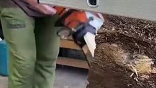 Sawing wood with a gasoline saw #wood #carpenter #woodworking