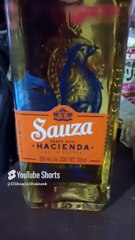 El gato pernanca quiere quesito pero yo solo tengo tequila #gatos #shorts