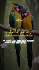 Ya Allah mazlumon ki hifazat farma 📖🥹🕋🇸🇦🇶🇦🇮🇳🇵🇰🇧🇩❤️🇵🇸🤲☝️🇳🇵