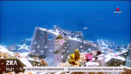 The Miami Reef Star, un entorno donde el arte, el diseño y la ciencia se fusionan