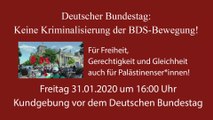 Annette Groth auf der auf der BDS Kundgebung vor dem Deutschen Bundestag am 31.01.2020