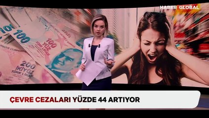 Çevre cezaları yüzde 44 artıyor: Yılbaşından itibaren cezalarda artışa gidilecek