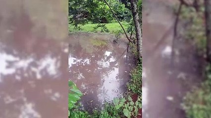 Internauta reclama de vazamento de esgoto em chácara de Cascavel