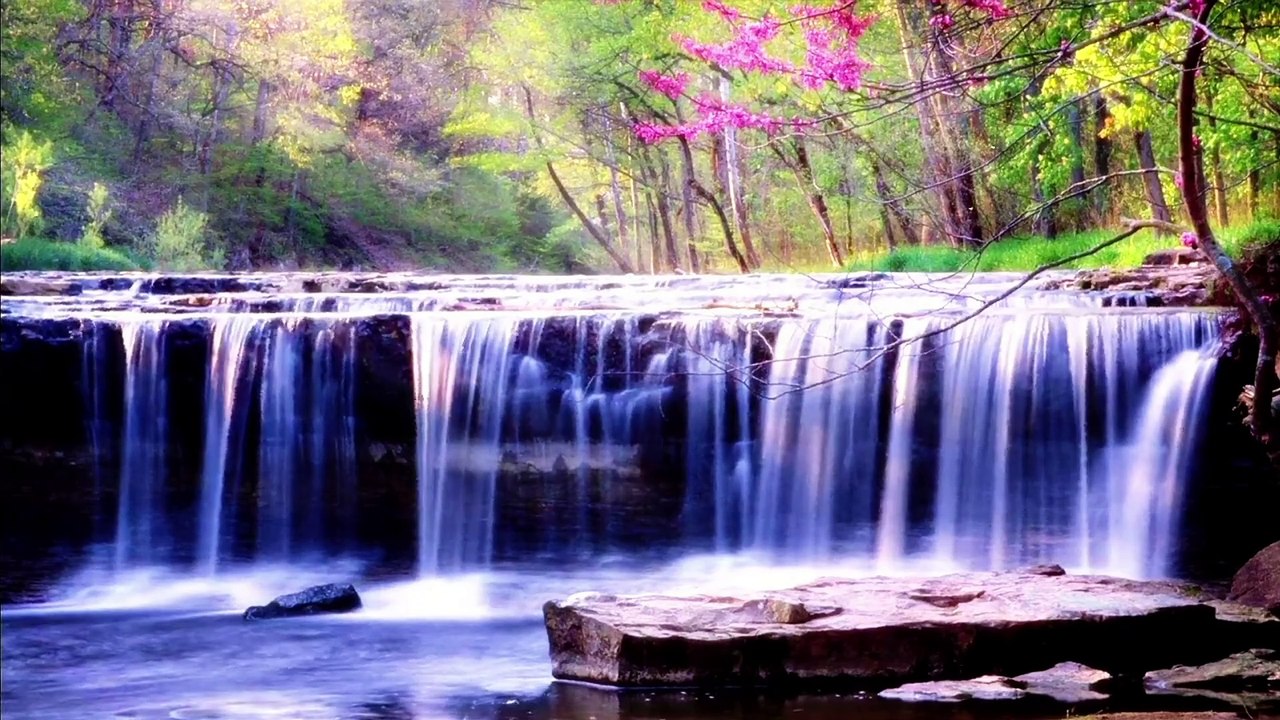 RemixMusic العائلة كنز