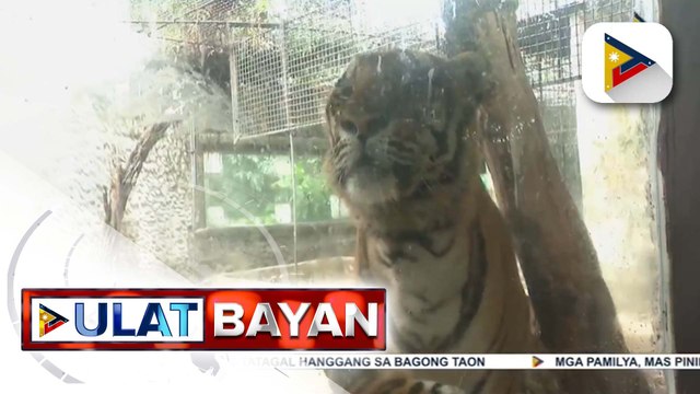 Ilang pamilya, namasyal sa Malabon Zoo ngayong Pasko; mga bumisita, pinayagang magpakain sa mga usa