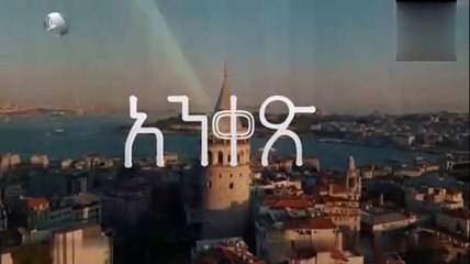 ankes 54_2024-12-25_21-21-11