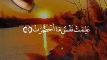 إذا الشمس كورت #سورة_التكوير #التكوير #قرآن #قرآن_كريم #راحة_نفسية #عبد_الباسط_عبد_الصمد #عبدالباسط_عبدالصمد #quran #quran_alkarim #رجل_يسعى