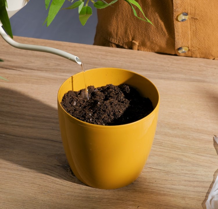 ASTUCES DE JARDINAGE : Des trucs simples pour u...